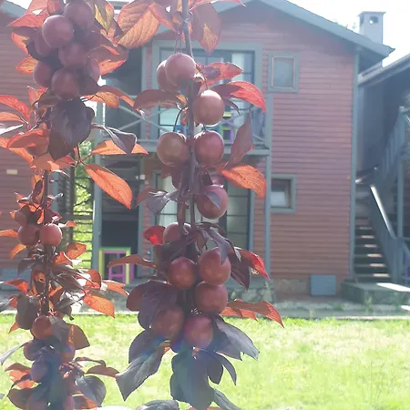 Hotel Gizemli Nehir 2*