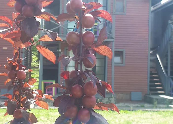 מלון Gizemli Nehir 2*